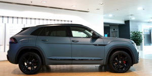 VOLKSWAGEN TERAMONT X