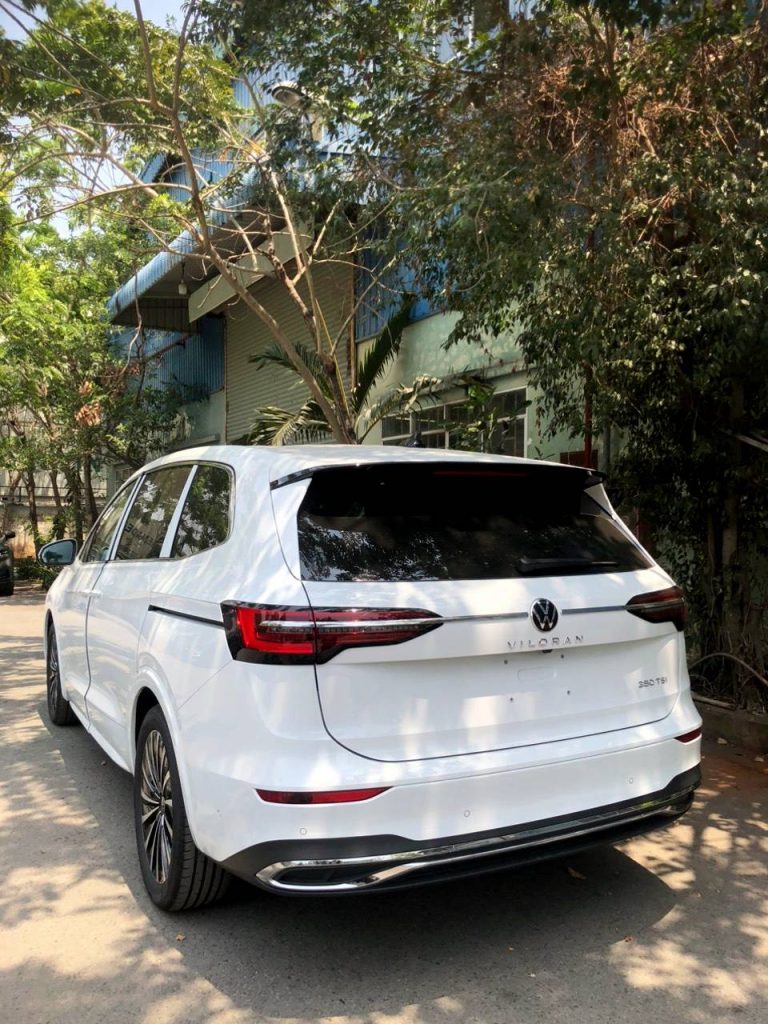 Màu trắng viloran nổi bật giữa đám đông