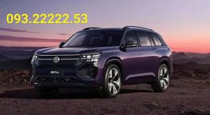 TERAMONT PRO MÀU TÍM 